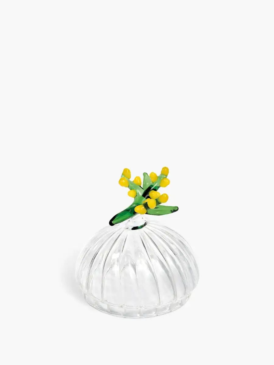 Mimosa Lid - For classic candles
